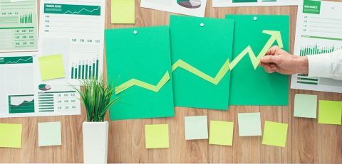 Büyüme Planlaması ve Finansal Stratejiler